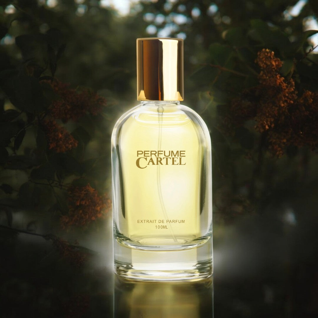 Hidden Allure | 100ml